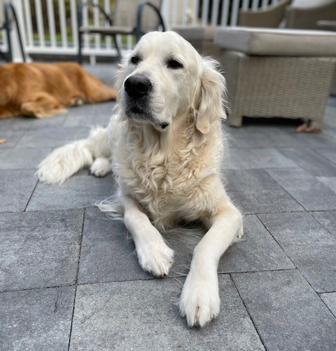 Otis