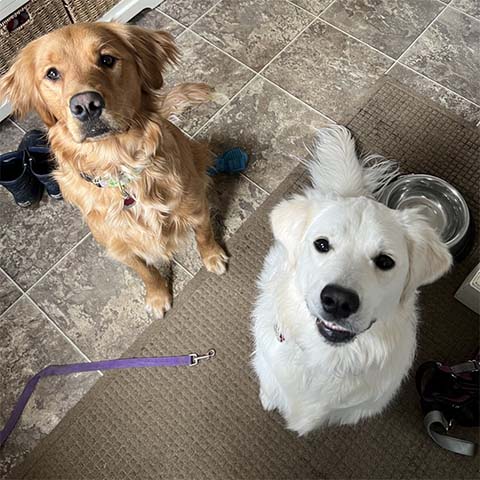 Sage and Winnie