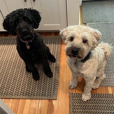 Tulip and Zeke